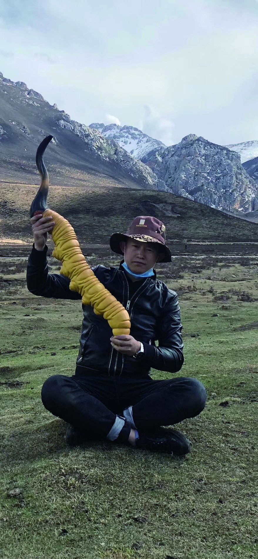 指南中的高原收草现场照片