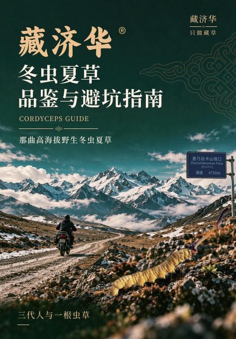 藏济华冬虫夏草品鉴与避坑指南封面